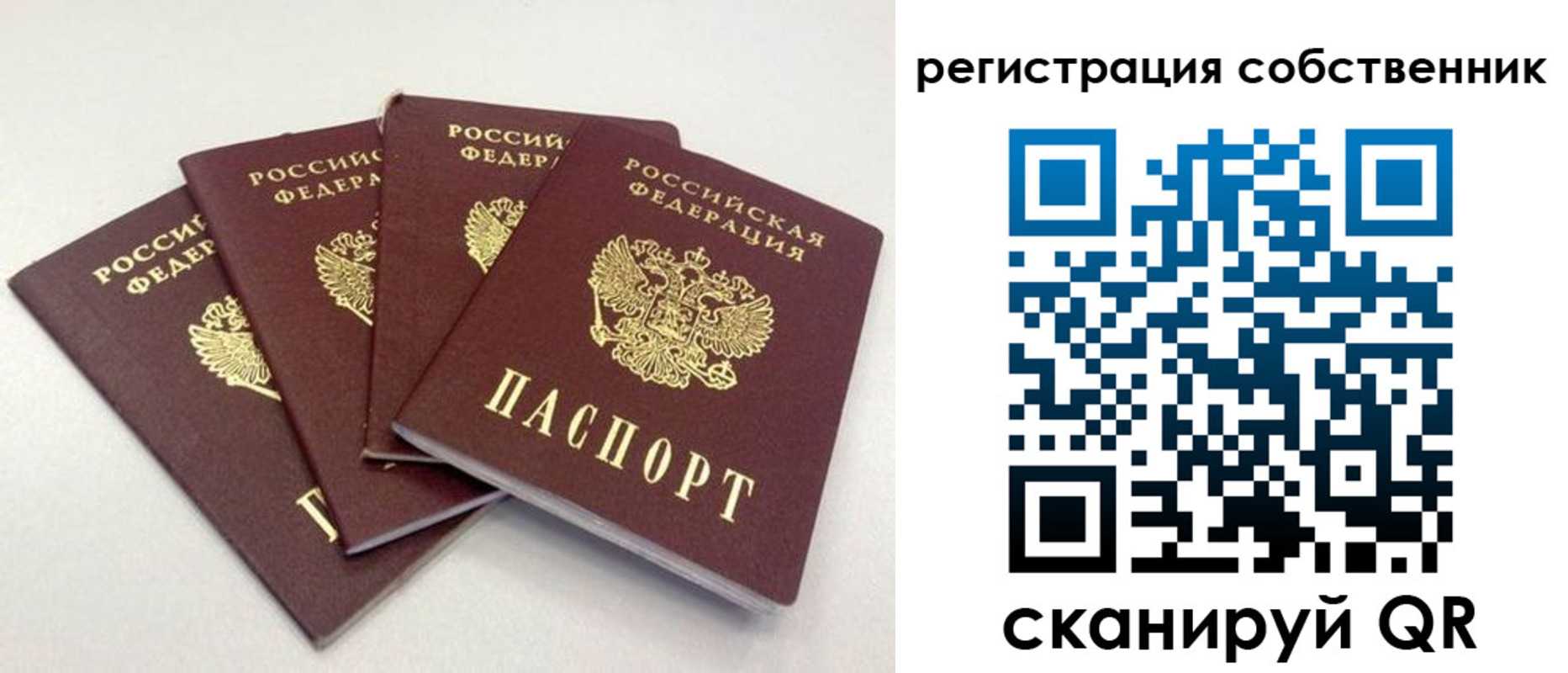 прописка для школы в Радужном